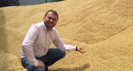 Trakya yerli tohum üretiminde lider