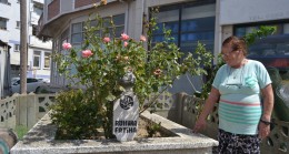 Bu mezar merak uyandırıyor