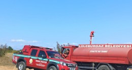 Piknik alanında korkutan yangın