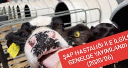Genelge yayınlandı
