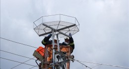 TEKİRDAĞ’DA LEYLEKLERİN AKIMA KAPILMAMASI İÇİN ELEKTRİK DİREKLERİNE ÖZEL PLATFORM