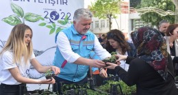 10 bin adet fide halka dağıtıldı!