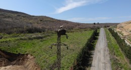TREDAŞ altı yıldır süren yeni yuva projesinde leyleklerin can güvenliğini koruyor