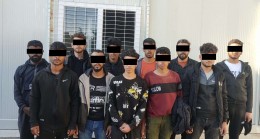 115 düzensiz göçmen yakalandı