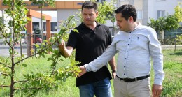 ‘’Daha yeşil bir Lüleburgaz için çalışmaya devam edeceğiz’’