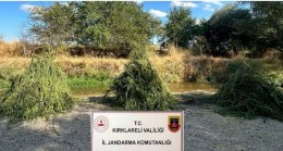 13 şüpheli yakalanarak adli işlem başlatıldı