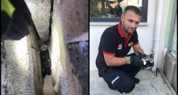 ‘’Tüm canlıların yaşamı için görevdeyiz’’