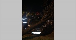 Fırtınanın yarattığı olumsuzluklarla mücadele sürüyor