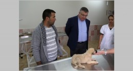 Modern ve çağa uygun bir geçici bakımevimiz var
