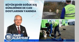 BÜYÜKŞEHİR SOĞUK KIŞ GÜNLERİNDE DE CAN DOSTLARININ YANINDA