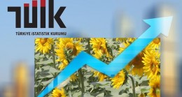 Yıllık Tarım-ÜFE’de Artış