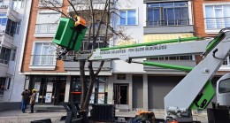 Babaeski’de Ağaç Budama Çalışmaları Hız Kesmeden Devam Ediyor