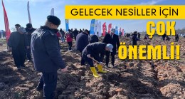 Fidanlar toprakla buluştu