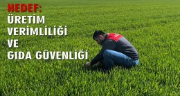 Tarımda denetimler sürüyor