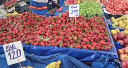Çilek Tezgâhlarda Yerini Aldı: Kilosu 200 TL’den Satılıyor