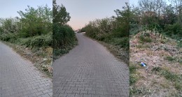 Çocuklar Yılan Korkusuyla Yoldan Geçemiyor!