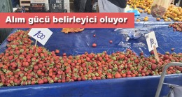 TEZGAHIN GÖZDESİ, CEBİN SINAVI: ÇİLEK