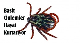 KENE TEHLİKESİNE KARŞI UYARI