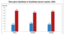 Kırklareli Büyükbaş Hayvan Varlığında Bölgede Zirvede
