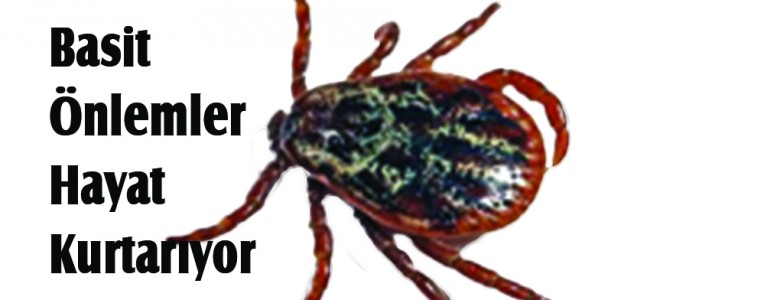 KENE TEHLİKESİNE KARŞI UYARI