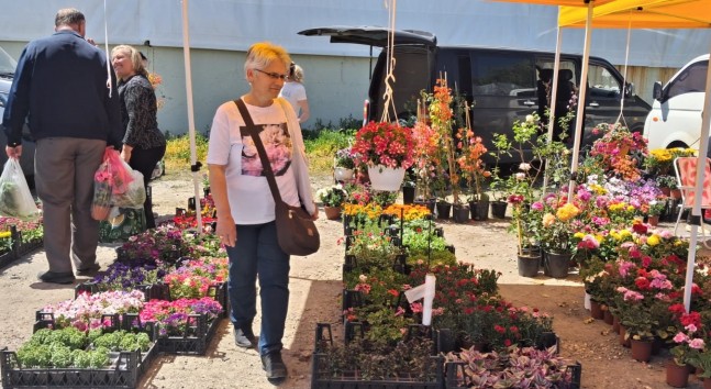 Babaeski’de Bahar Hareketliliği: Çiçek ve Fide Satışları Arttı