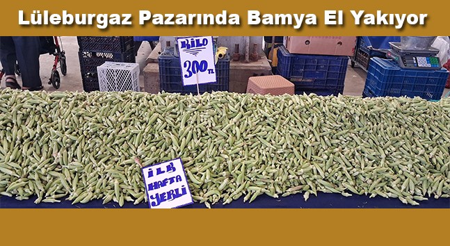 Kilosu 300 Liraya Çıktı