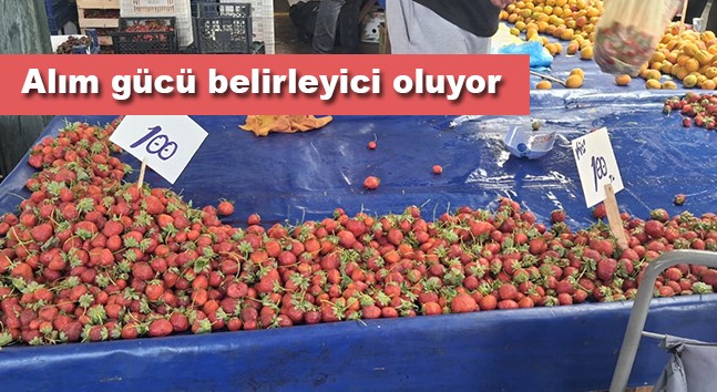TEZGAHIN GÖZDESİ, CEBİN SINAVI: ÇİLEK