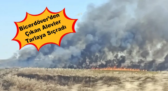 Büyükmandıra‘da korkutan yangın!
