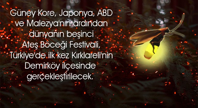 Dünyanın 5. Ateş Böceği Festivali Kırklareli’nde Düzenlenecek