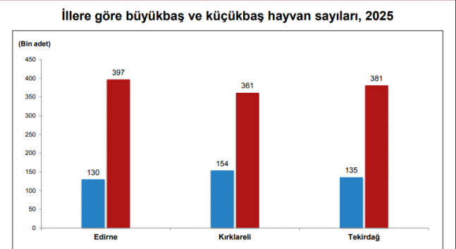 Kırklareli Büyükbaş Hayvan Varlığında Bölgede Zirvede