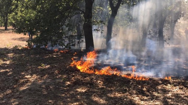 Kavaklı’da yangın tehlikesi