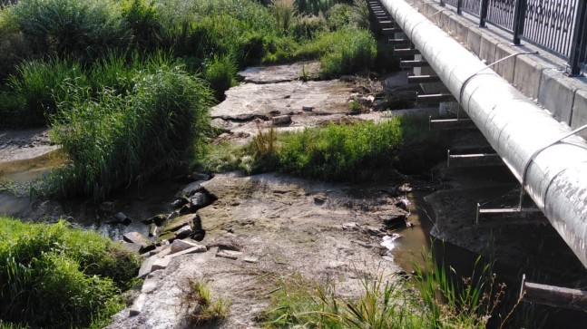 SICAKLIK BUHARLAŞMAYI ARTIRINCA…DEREDE SU SEVİYESİ DÜŞTÜ