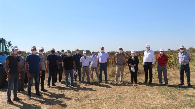 KAVAKLI’DA AYÇİÇEĞİ HASAT ETKİNLİĞİ