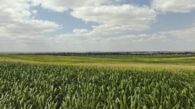 TOPRAKSIZ VEYA YETERLİ TOPRAĞI OLMAYAN ÇİFTÇİLERE KİRALAMA