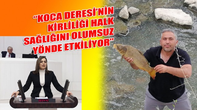 BALIK ÖLÜMLERİNİ MECLİS GÜNDEMİNE TAŞIDI