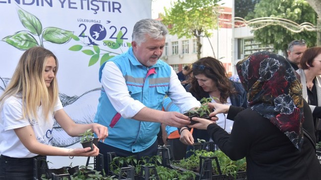 10 bin adet fide halka dağıtıldı!