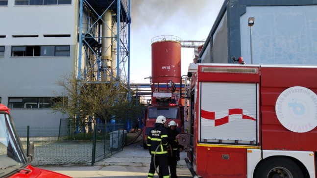 Evrensekiz’deki yangın söndürüldü