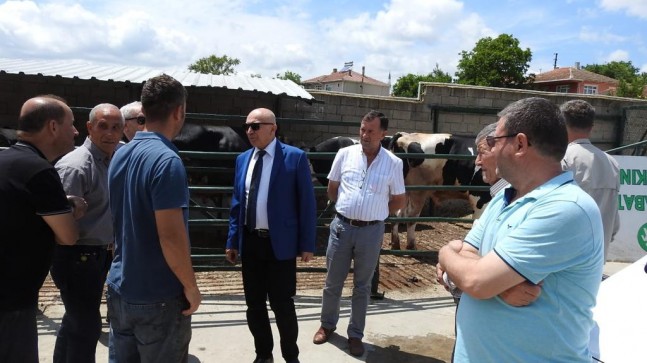 Teşekkürler Lüleburgaz