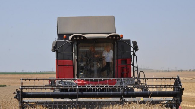 Kaymakam Yüce buğday hasadına katıldı