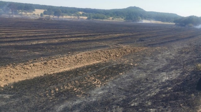 İslambeyli Köyünde anız yangını
