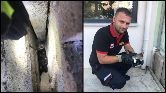 ‘’Tüm canlıların yaşamı için görevdeyiz’’