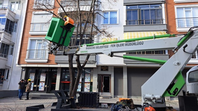 Babaeski’de Ağaç Budama Çalışmaları Hız Kesmeden Devam Ediyor
