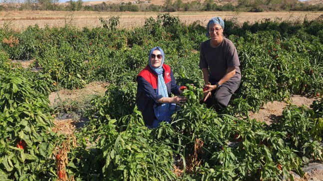 BABAESKİ’DE TARIMSAL ÜRETİME YERİNDE DESTEK