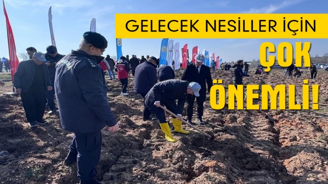 Fidanlar toprakla buluştu