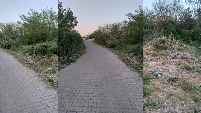 Çocuklar Yılan Korkusuyla Yoldan Geçemiyor!