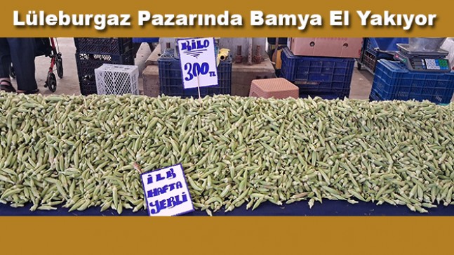 Kilosu 300 Liraya Çıktı