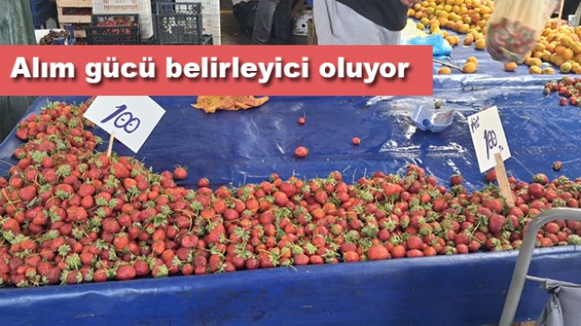 TEZGAHIN GÖZDESİ, CEBİN SINAVI: ÇİLEK