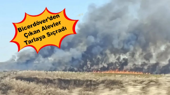 Büyükmandıra‘da korkutan yangın!