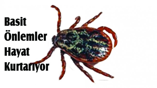 KENE TEHLİKESİNE KARŞI UYARI
