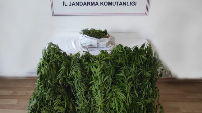 Kırklareli Jandarmadan 2 operasyon